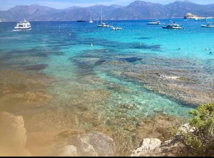 Villa Le Corail Rouge Corse レクシ エクステリア 写真