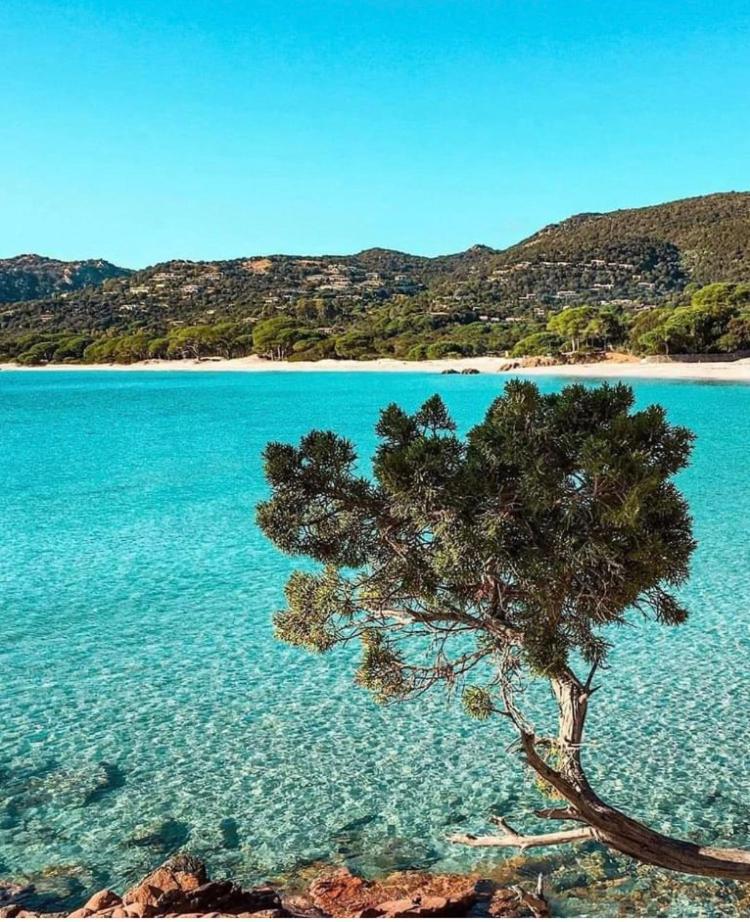 Villa Le Corail Rouge Corse レクシ エクステリア 写真