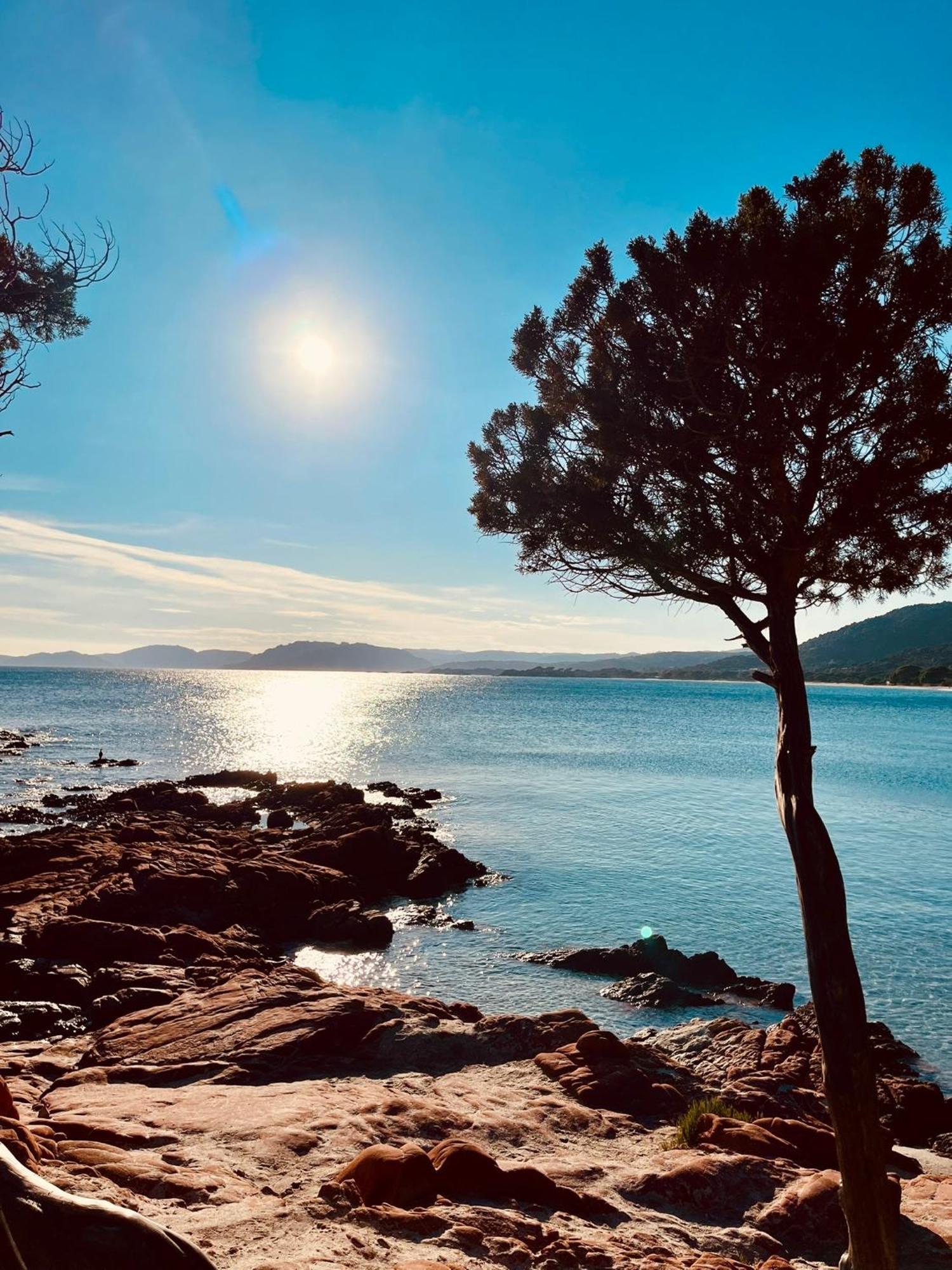 Villa Le Corail Rouge Corse レクシ エクステリア 写真
