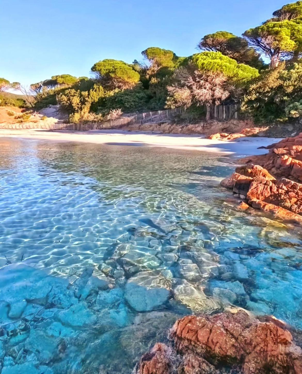 Villa Le Corail Rouge Corse レクシ エクステリア 写真