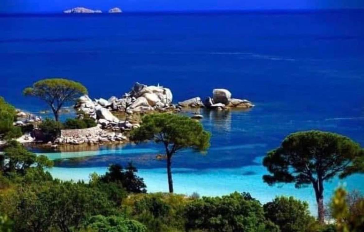 Villa Le Corail Rouge Corse レクシ エクステリア 写真